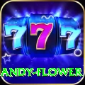 andy flower Games (Casino & Earning) Pro v3.0.1