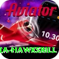 antigua hawksbill Games (Casino & Earning) Gold v4.2.5