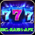bbl big bash apk Turbo Pro v2.5.4