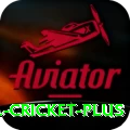 bbl cricket Casino Turbo v5.2.4