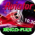 bingo Deluxe Pro v4.4.5