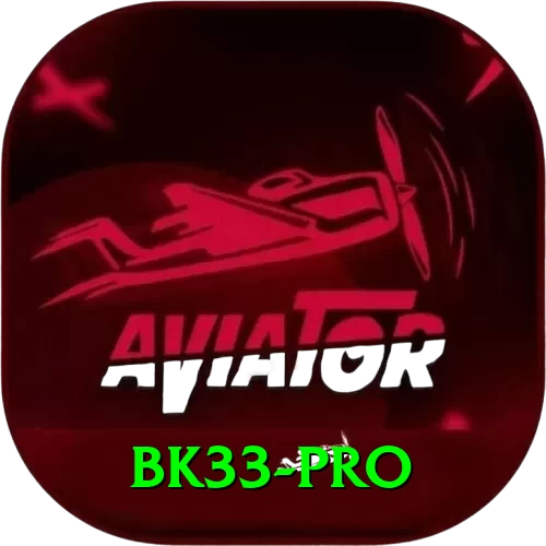 bk33 Cash Pro - 2