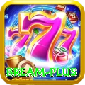 bream Live Casino Master