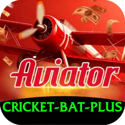 cricket bat Pakistan Max v5.6.5 - 2