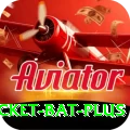 cricket bat Pakistan Max v5.6.5