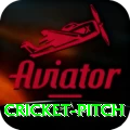 cricket pitch Games (Casino & Earning) Deluxe v5.9.7