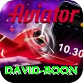 david boon Gold Edition v4.8.8