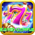 david gower Apps (Tools & Injectors) Premium v3.2.4
