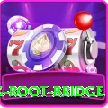 dawki living root bridge Pro v2.3.7