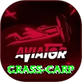 grass carp Gold Pro v5.7.9