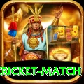 india pakistan cricket match VIP Pro v5.3.0
