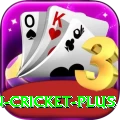 india pakistan cricket Extreme APK v5.2.0