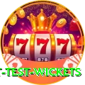 most test wickets Turbo v4.1.7