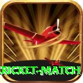 next cricket match Deluxe Edition v4.9.5