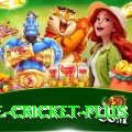 one cricket Prime Casino App