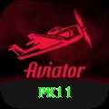 pk11 Pro1 v3.1.4