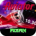 pkspin Deluxe v4.9.8