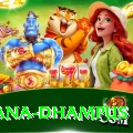 pothana dhampus Deluxe v5.8.4
