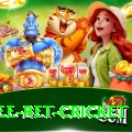risk free bet cricket VIP v3.2.1