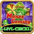 smartcric live cricket Max v3.3.4