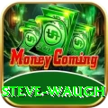 steve waugh Apps (Tools & Injectors) Plus v5.6.7