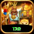 t20 Pro1 v4.7.9