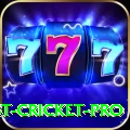 test cricket Ultimate - Win Real PKR