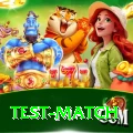 test match Max v1.4.6