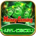 watch live cricket Ultimate Pro v4.6.3
