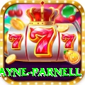 wayne parnell Pro v3.3.5