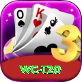 wc t20 Master v1.5.7
