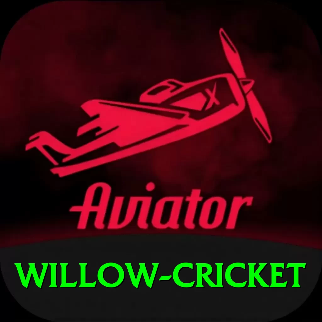 willow cricket Deluxe v4.8.8 - 2