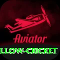 willow cricket Deluxe v4.8.8