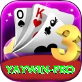 yaywin Casino Champion v4.9.8